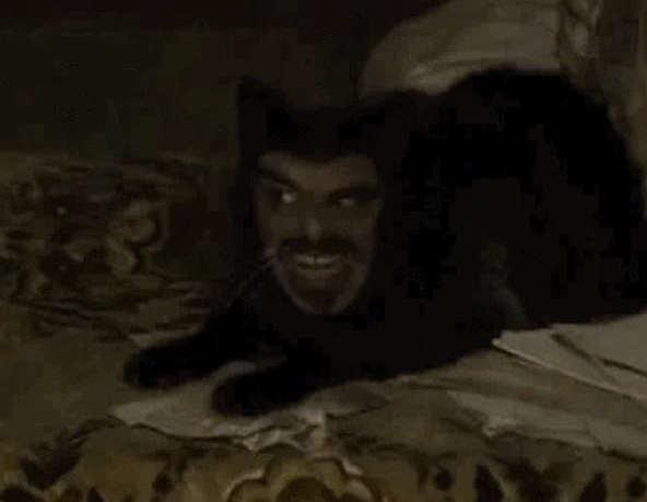 SLAG-PimCat.png|300